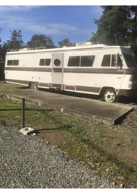 Tall Timbers Caravan Park Kempsey - Pubs and Clubs 3