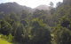 Tall Trees Retreat - thumb 1