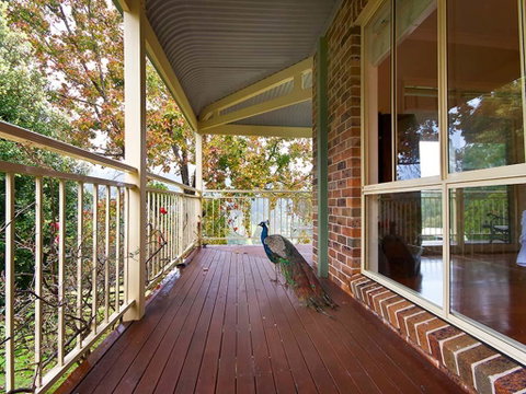 The Acreage Luxury B&B And Guesthouse - Pubs and Clubs 1