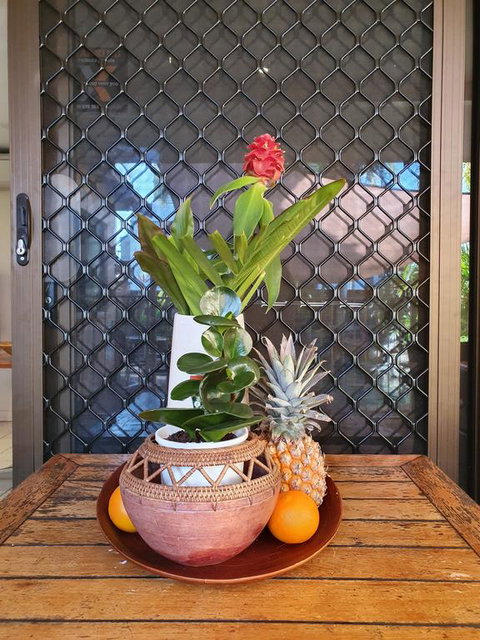 The Balinese - Pubs and Clubs 2