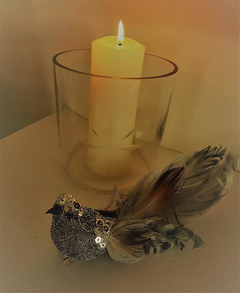 Birch Lane - Go Out 26