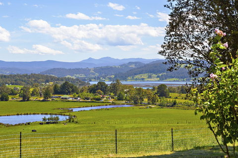 Birch Lane - Go Out 7