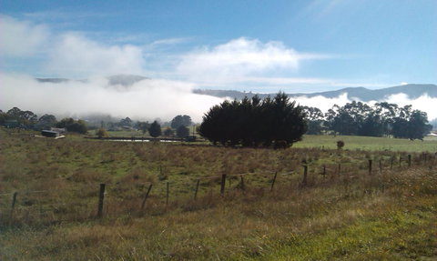 Birch Lane - Go Out 30