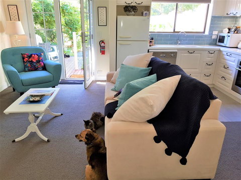 Birch Lane - Go Out 18