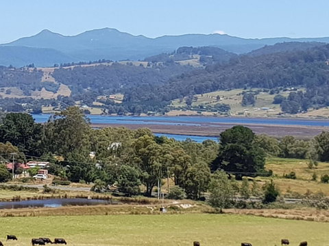 Birch Lane - Go Out 1