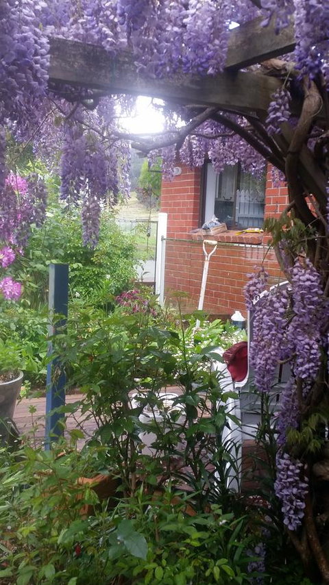 Birch Lane - Go Out 41