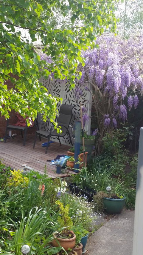 Birch Lane - Go Out 44