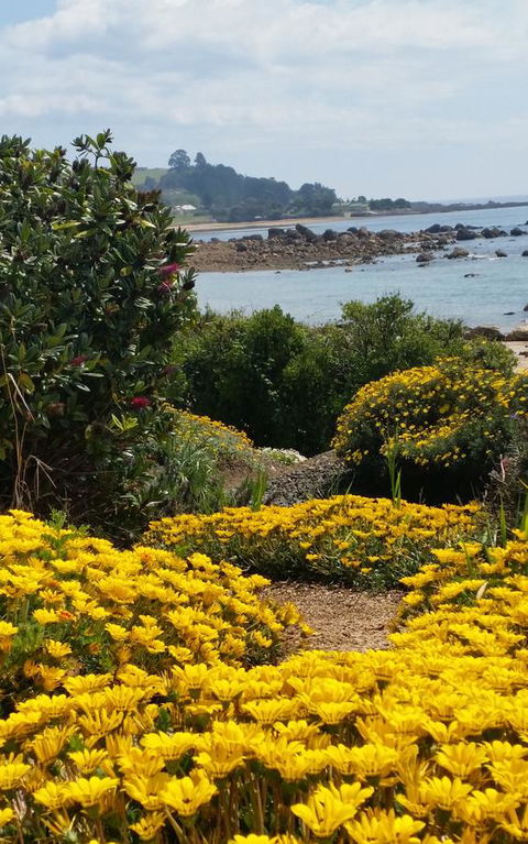 Penguin Beach House - Pubs and Clubs 18