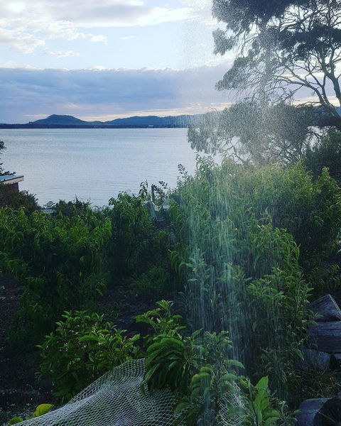 AppleBay Guest House - Pubs and Clubs 31