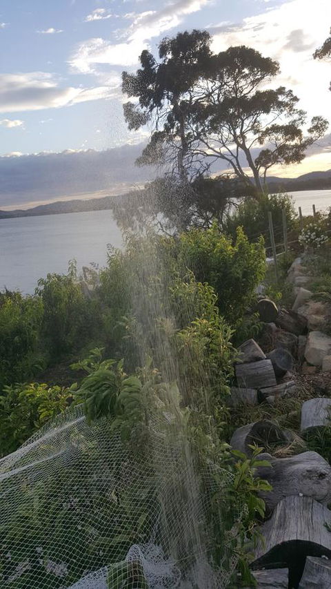 AppleBay Guest House - Pubs and Clubs 21