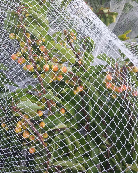 AppleBay Guest House - Pubs and Clubs 30