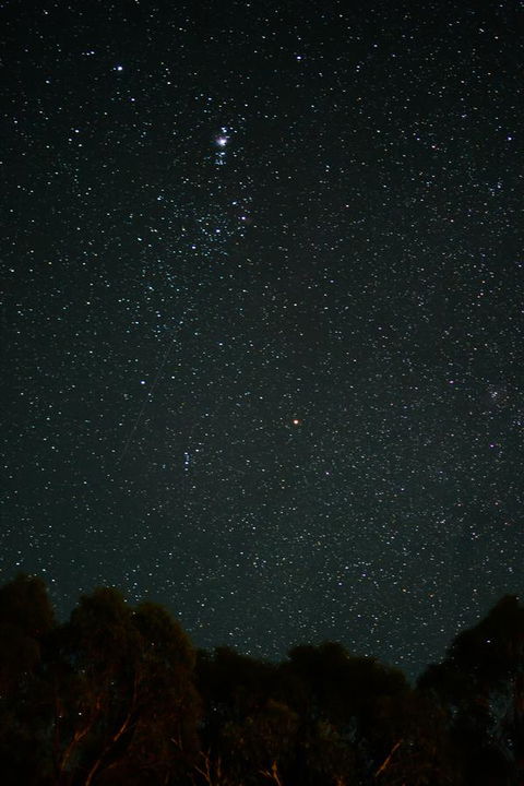 Naivasha Cottage - Pubs and Clubs 14