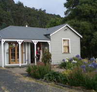 Sassafras Springs - Go Out