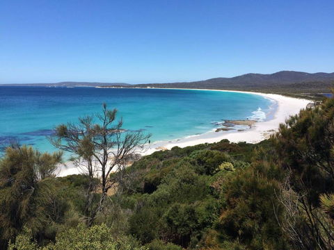 Holland House Bay Of Fires - Go Out 15