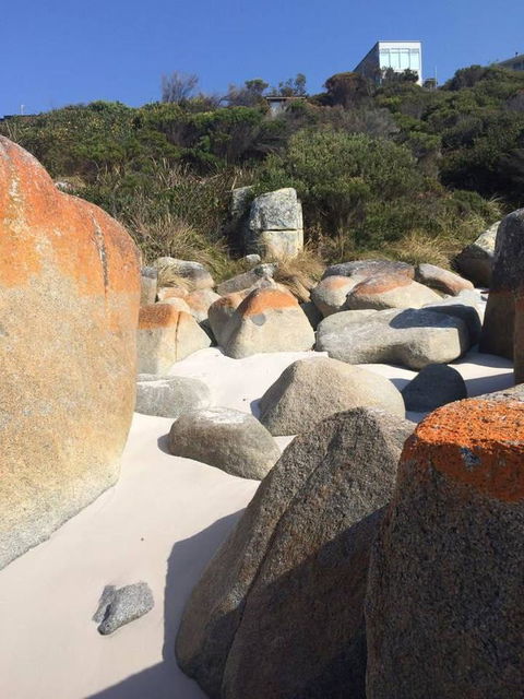 Holland House Bay Of Fires - Go Out 5