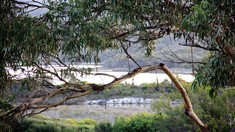 KINGFISHER COTTAGE Beachfront At The Binalong Bay - Go Out 17