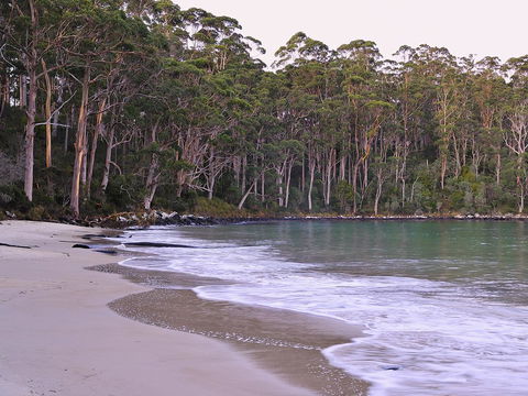 NRMA Port Arthur Holiday Park - Go Out 41