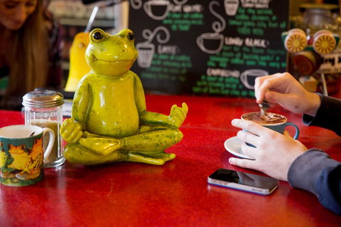 The Pickled Frog - Pubs and Clubs 30