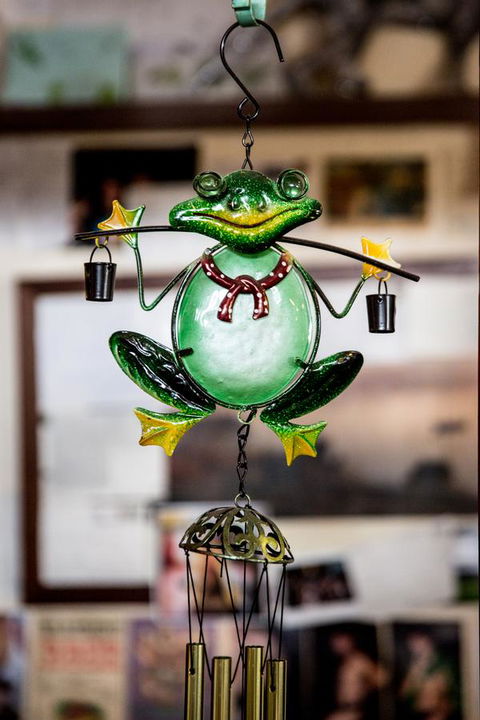 The Pickled Frog - Pubs and Clubs 35