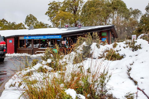 Discovery Parks - Cradle Mountain - Pubs and Clubs 29