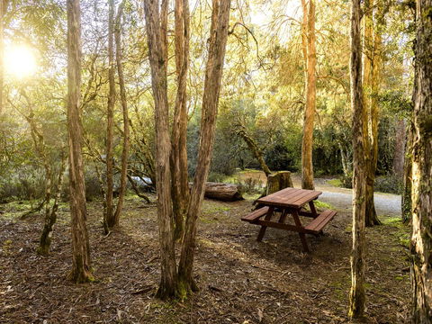 Discovery Parks - Cradle Mountain - Pubs and Clubs 19