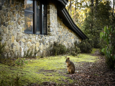 Discovery Parks - Cradle Mountain - Pubs and Clubs 22