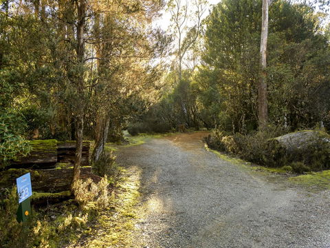 Discovery Parks - Cradle Mountain - Pubs and Clubs 1
