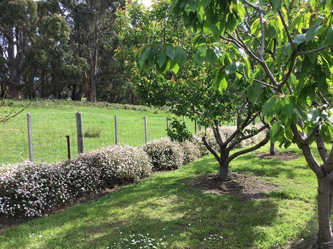Nextdoor@portarthur - Pubs and Clubs 18