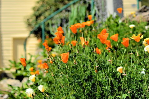 St. Pauls Bed & Breakfast - Pubs and Clubs 44