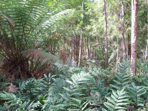 St. Pauls Bed & Breakfast - Pubs and Clubs 15