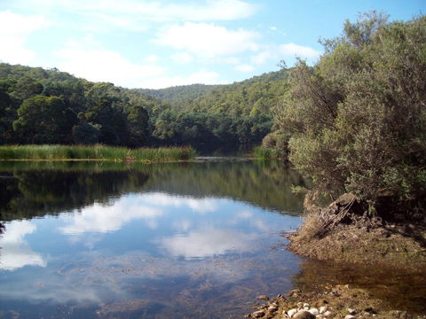 St. Pauls Bed & Breakfast - Pubs and Clubs 11