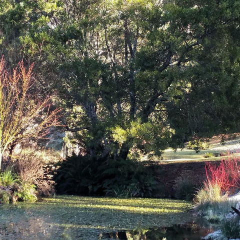 MaraPonds - Pubs and Clubs 9