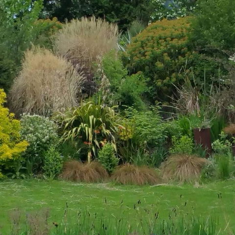 MaraPonds - Pubs and Clubs 12