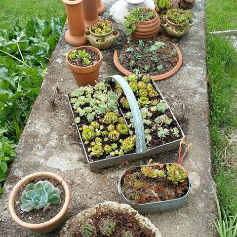 MaraPonds - Pubs and Clubs 10