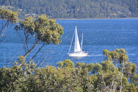 The Tree House - Go Out 5