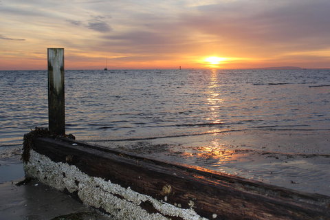 Boathouse Resort Studios And Suites - Pubs and Clubs 28