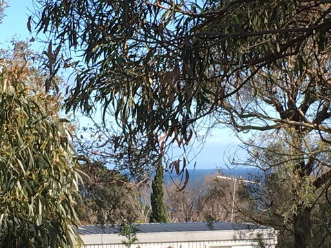 Kookas Retreat - Pubs and Clubs 17