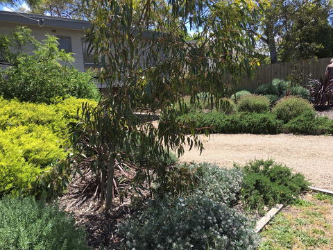 Kookas Retreat - Pubs and Clubs 13