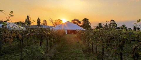 Bay Motel Safety Beach - Pubs and Clubs 21