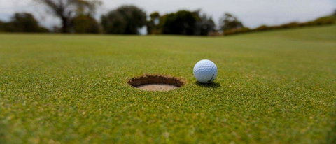 Bay Motel Safety Beach - Pubs and Clubs 14