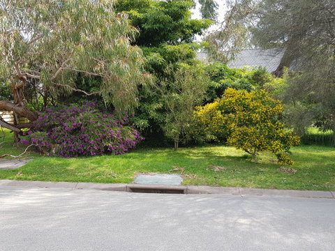 Dromana Holiday Beach House - Pubs and Clubs 13