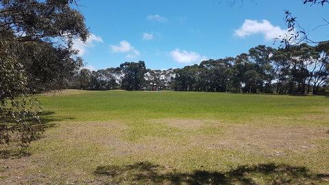 Island Escape - Go Out 11