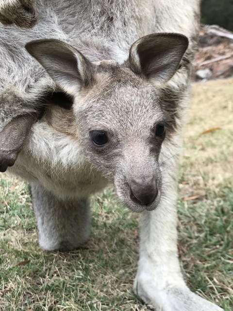 Day Dream Cottage - Go Out 13