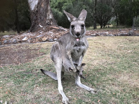 Day Dream Cottage - Go Out 11