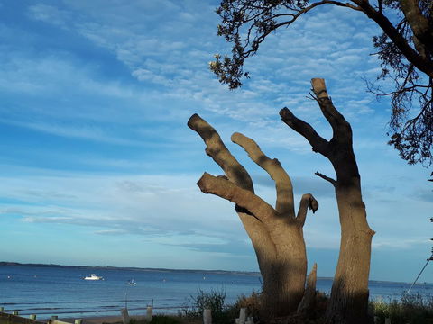 Apartments In Phillip Island Towers - Block C - Pubs and Clubs 10