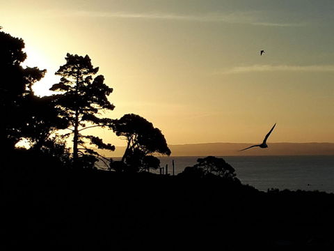 Apartments In Phillip Island Towers - Block C - Pubs and Clubs 19