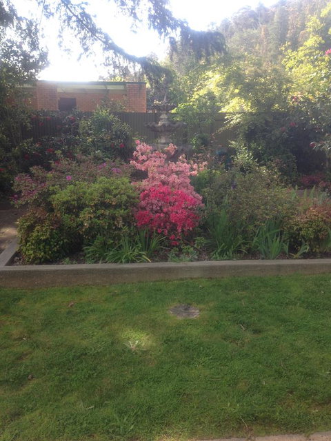 Viewhill Holiday Units - Pubs and Clubs 4