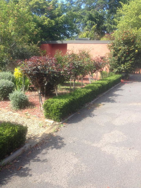 Viewhill Holiday Units - Pubs and Clubs 7