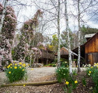 Lothlorien - Pubs and Clubs