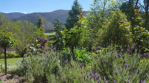 Abbys Cottages Bright - Pubs and Clubs 33